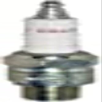 Spark Plugs