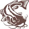 Express Yourself Flathead Catfish Wall Decal (Brown - Reverse Facing - Small) - Freshwater Fish Collection view 1