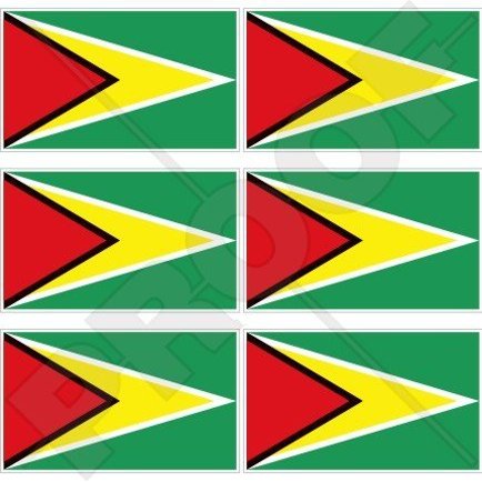 GUYANA Flag Guyanese South America, Caribbean 40mm (1,6") Mobile Cell Phone Vinyl Mini Stickers, Decals x6