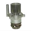 Saleri SIL PA1355A Water Pump view 1