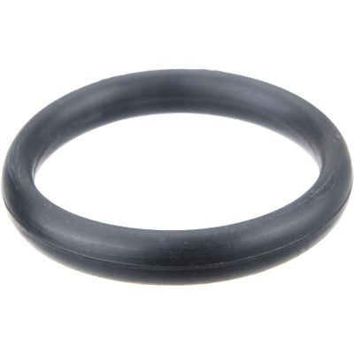 URO Parts 11531710048 Water Pump O-Ring, Large