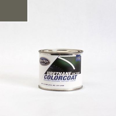 ColorRite Half-Pint for Chevrolet Express Automotive Touch-up Paint - Graystone Metallic Clearcoat 16/WA213M - Color-Only Package