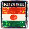 Flagline Niger - 3" x 4" Reflective Decal view 1