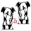 2 Pitbull PIT Bull White Vinyl Decal Stickers for CAR Truck SUV Dog JDM 4x4 MMA Laptop view 1