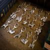 Borzoi Made in U.K Artistic Style Dog Key Ring Collection view 3