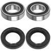 Caltric Front Wheel Ball Bearings & Seals Kit Compatible with Yamaha Xv1900 Stratoliner 1900 2006 07 09 view 1