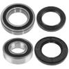 Caltric Rear Wheel Ball Bearings & Seal Kit Compatible with Yamaha Bear Tracker 250 Yfm250 2Wd 1999 2000 view 1