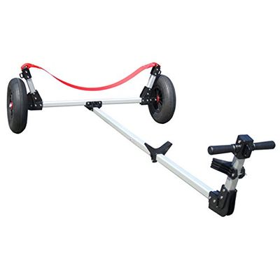 Dynamic Revolution 11 Dolly