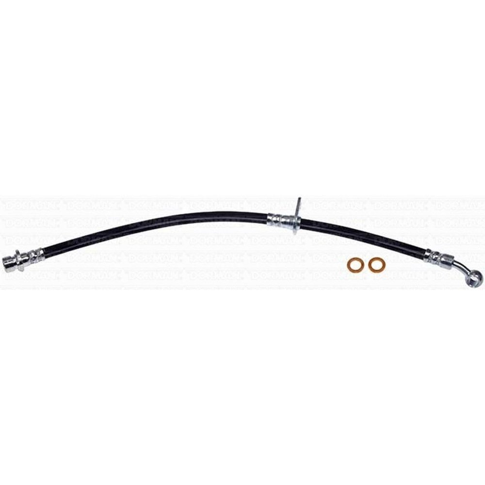 Dorman H621638 Front Driver Side Brake Hydraulic Hose Compatible with Select Honda Models