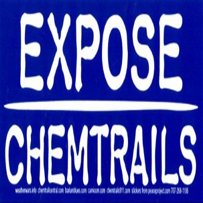 Peace Resource Project Expose Chemtrails Environmental Magnetic Bumper Sticker/Decal Magnet (7" X 2.75")