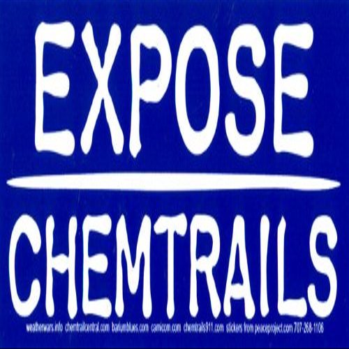 Peace Resource Project Expose Chemtrails Environmental Magnetic Bumper Sticker/Decal Magnet (7" X 2.75")
