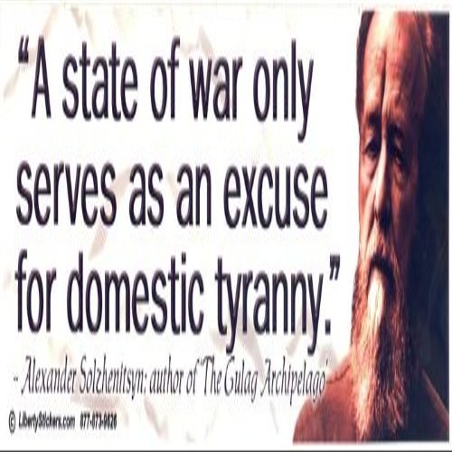 A State Of War Only Serves As An Excuse For Domestic Tyranny Anti-NWO Magnetic Bumper Sticker / Decal Magnet (3" X 10.5")