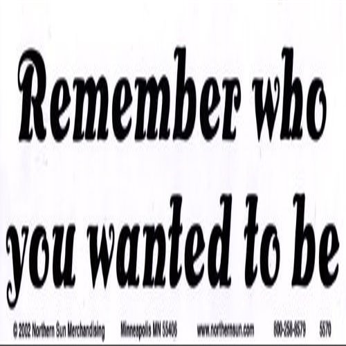 Northern Sun Remember Who You Wanted to Be - Magnetic Bumper Sticker/Decal Magnet (11.5" X 3")