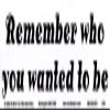 Northern Sun Remember Who You Wanted to Be - Magnetic Bumper Sticker/Decal Magnet (11.5" X 3") view 1