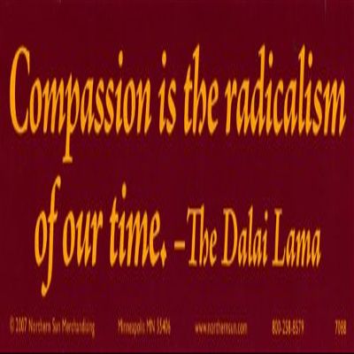 Northern Sun Compassion is The Radicalism of Our time The Dalai Lama Peace Magnetic Bumper Sticker/Decal Magnet (11.5" X 3")