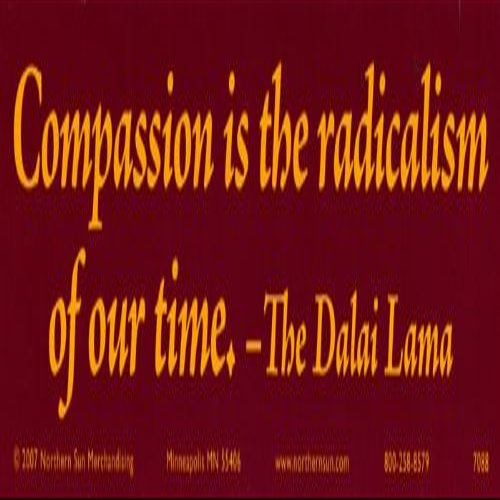 Northern Sun Compassion is The Radicalism of Our time The Dalai Lama Peace Magnetic Bumper Sticker/Decal Magnet (11.5" X 3")