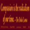 Northern Sun Compassion is The Radicalism of Our time The Dalai Lama Peace Magnetic Bumper Sticker/Decal Magnet (11.5" X 3") view 1