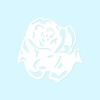 Carnation Rose Flower - Vinyl Decal Sticker - 3.75" x 3.75" - White view 1