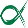 Ichthys, Ichthus, Christian, Jesus, Fish, Hebrew, ?????, Car, Window, Wall, Locker, Laptop, Vinyl, Sticker, Decal, Label, Multiple Color Choice 3" H X 6" W (Green) view 1