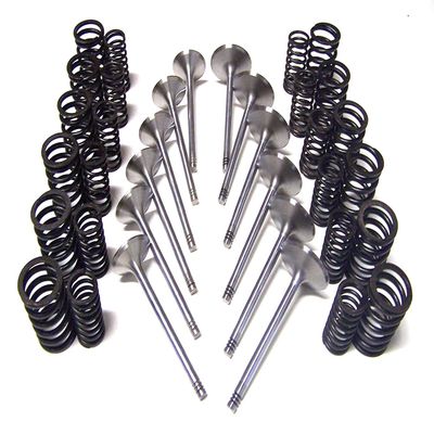 Intake Exhaust Spring Valve Kit Compatible with SeaDoo OEM# 420238180 Challenger GTS