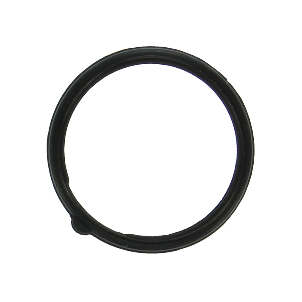 FEL-PRO 35951 Thermostat Gasket