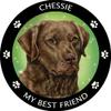 Chesapeake Bay Retriever My Best Friend Magnet view 1