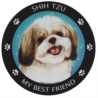 Gold & White Shih-Tzu My Best Friend Magnet