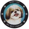 Gold & White Shih-Tzu My Best Friend Magnet view 1