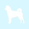 Shiba Inu Dog Breed - Vinyl Decal Sticker - 4" x 3.75" - White view 1