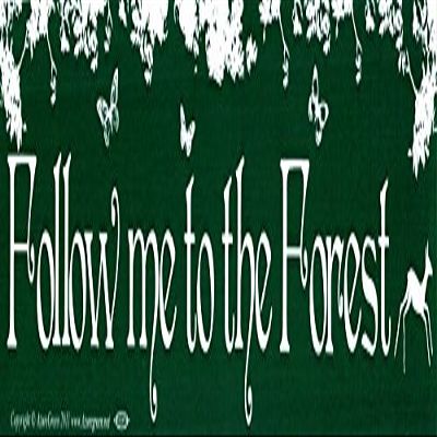 AzureGreen Follow Me Into The Forest - Magnetic Bumper Sticker/Decal Magnet (11.5" X 3")
