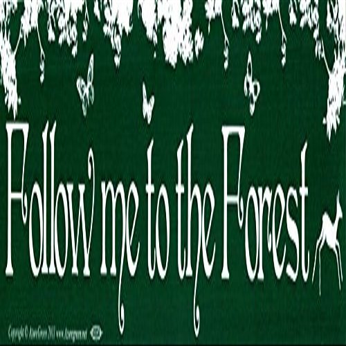 AzureGreen Follow Me Into The Forest - Magnetic Bumper Sticker/Decal Magnet (11.5" X 3")