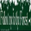 AzureGreen Follow Me Into The Forest - Magnetic Bumper Sticker/Decal Magnet (11.5" X 3") view 1