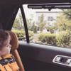 Diono Starry Night Car Window Shade for Baby, Retractable Car Sun Shade for Blocking Sun Glare, UV Rays with Glow in The Darks Stars, Black view 3