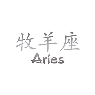 Chinese Symbols "Aries" Vinyl Decal Sticker 7.5" x 3.75" - Silver