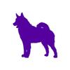 Norwegian Elkhound Dog Breed - Vinyl Decal Sticker - 3.75" x 3.75" - Purple view 1