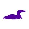 Loon Duck Goose - Vinyl Decal Sticker - 9" x 3.75" - Purple view 1