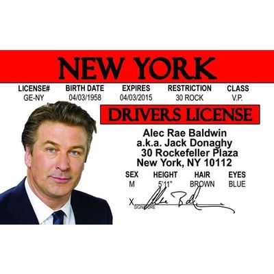 Signs 4 Fun Parody Drivers License | A Baldwin ID | Fake ID Novelty Card | Collectible Trading Card Drivers License | Novelty Gift for Holidays | Made in The USA