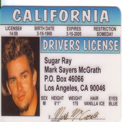 Sugar Ray Aka Mark Mcgrath Drivers License / Fake I.d. Identification for Don't Forget the Lyrics Fans
