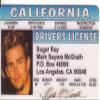 Sugar Ray Aka Mark Mcgrath Drivers License / Fake I.d. Identification for Don't Forget the Lyrics Fans view 1