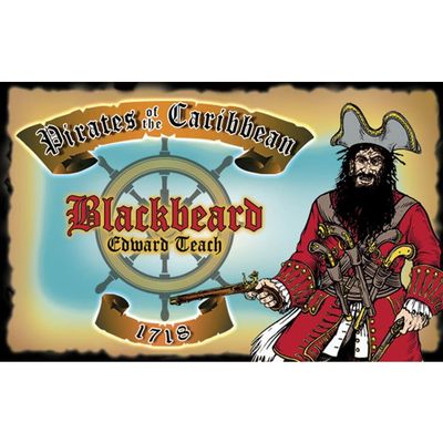 Signs 4 Fun Parody Drivers License | Black Beard ID | Fake ID Novelty Card | Collectible Trading Card Drivers License | Novelty Gift for Holidays | Made in The USA