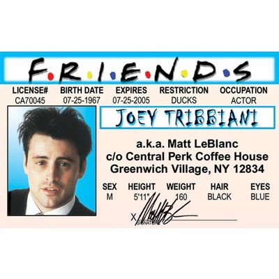 Signs 4 Fun Parody ID | Friends - Joey Drivers License | Fake ID Novelty Card | Collectible Trading Card Drivers License | Novelty Gift for Holidays | Made in The USA