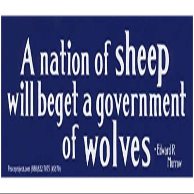Peace Resource Project A Nation of Sheep Will Beget Government of Wolves - Edward R Murrow Political Patriotic Car Bumper Sticker Decal 7-by-2.25 Inches