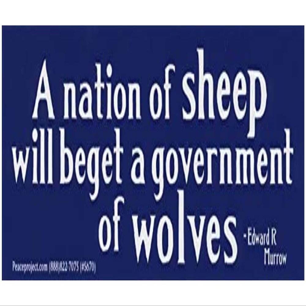 Peace Resource Project A Nation of Sheep Will Beget Government of Wolves - Edward R Murrow Political Patriotic Car Bumper Sticker Decal 7-by-2.25 Inches