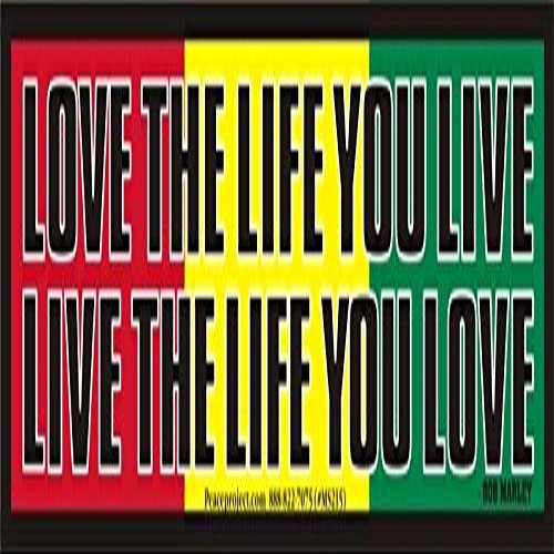 Peace Resource Project Love The Life You Live, Live The Life You Love - Bob Marley - Small Magnetic Bumper Sticker/Decal Magnet (7" X 1.5")
