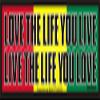 Peace Resource Project Love The Life You Live, Live The Life You Love - Bob Marley - Small Magnetic Bumper Sticker/Decal Magnet (7" X 1.5") view 1
