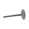 DNJ IV606 Intake Valve for 1984-1989 Nissan 200SX Stanza 2.0L L4 8V SOHC 1974cc view 3