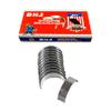 DNJ RB174.20 Oversize Rod Bearings Set for 2006-2016 Hyundai, Kia Amanti, Azera, Borrego 3.3L-3.8L V6 24V DOHC 3342cc view 1
