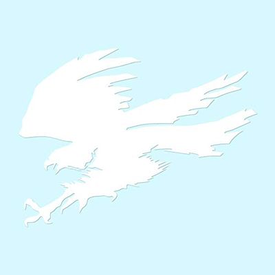 Hawk Eagle Falcon - Vinyl Decal Sticker - 7.75" x 5.75" - White