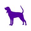 Black & Tan Coonhound Dog Breed - Vinyl Decal Sticker - 6.25" x 5.75" - Purple view 1