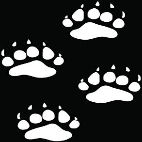 Bear Paws Prints Tracks Hunting Car Truck Window Bumper Vinyl Graphic Decal Sticker- (6 inch) / (15 cm) Tall GLOSS WHITE Color